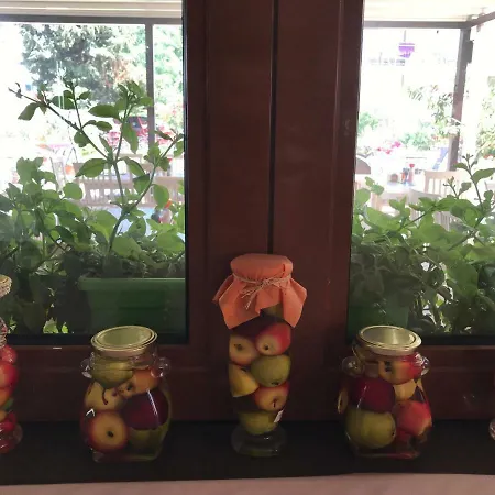 Oleander House And Tennis Club Sunny Beach