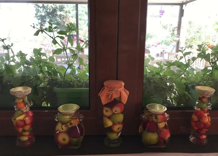 олеандър хаус и тенис клуб Слънчев бряг