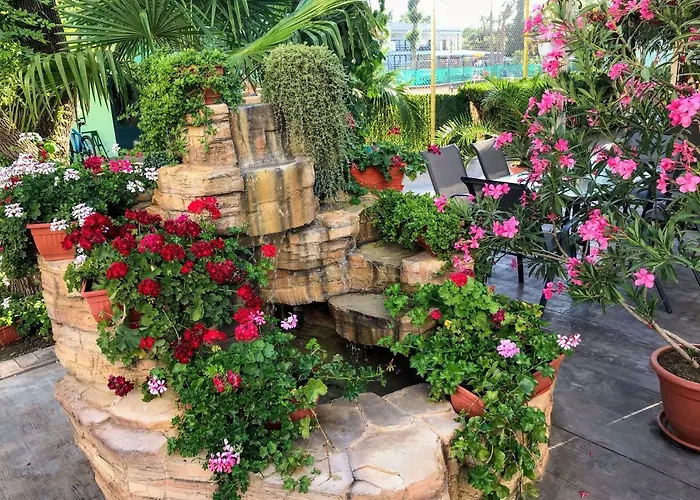 Oleander House And Tennis Club 3* Sluneční pobřeží